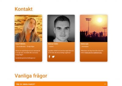 Visa info på hemsidan